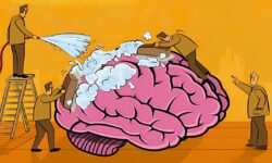 Uma boa noite de sono e uma “faxina” no cérebro